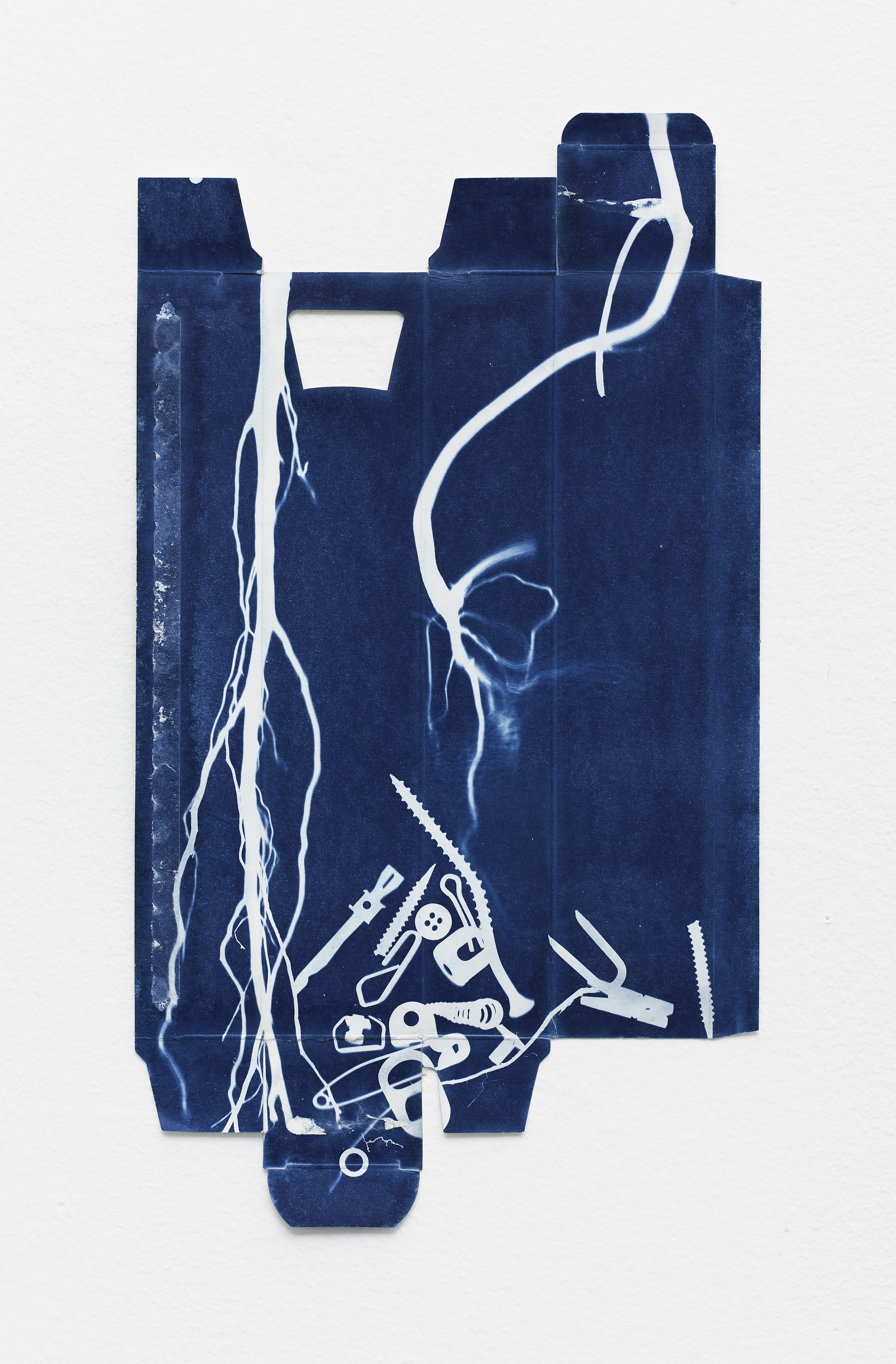 © Roy Arden Hoard 2