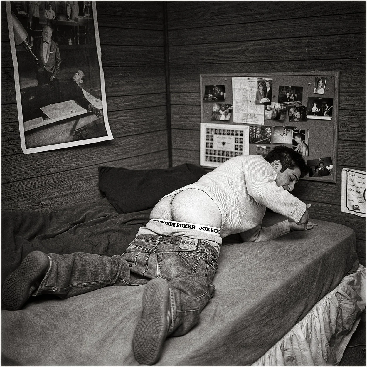 Image courtesy of © Andrew Moisey