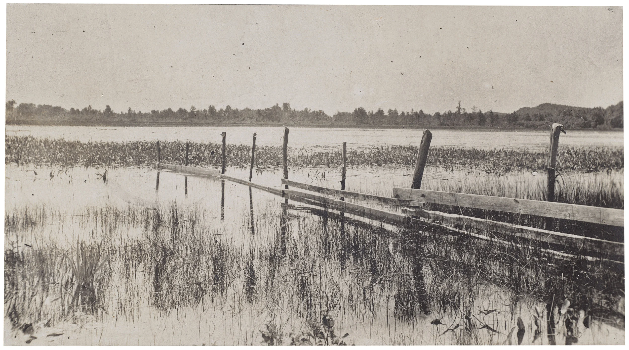Grand mere, The Lane Collection, Photograph © Museum of Fine Arts, Boston