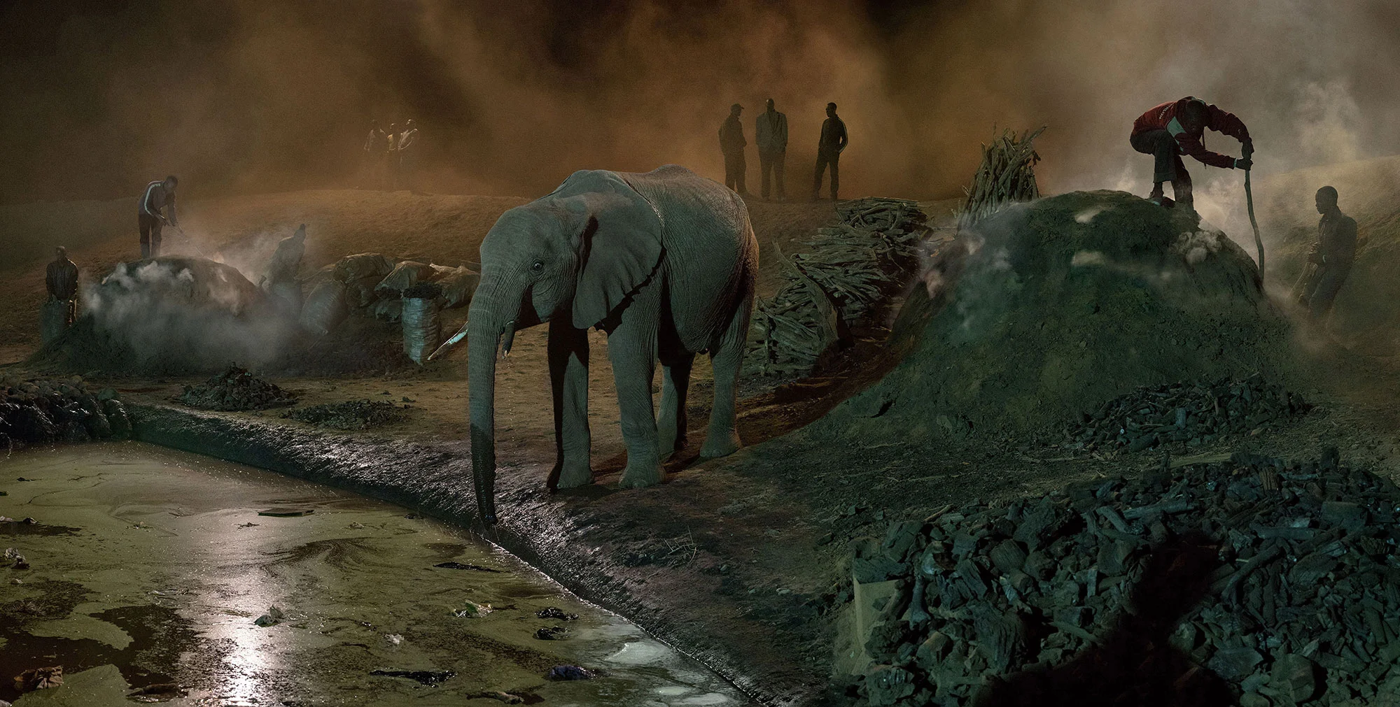 Charcoal Burning with Elephant. © Nick Brandt