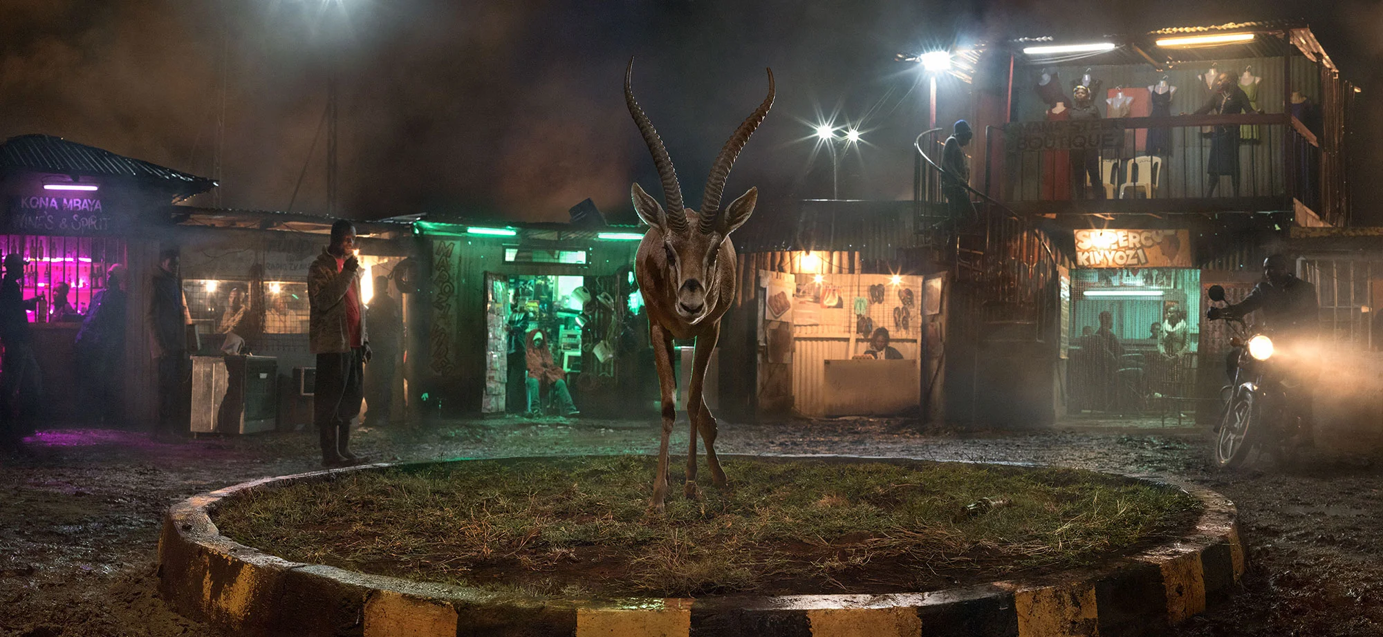Roundabout with Gazelle. © Nick Brandt