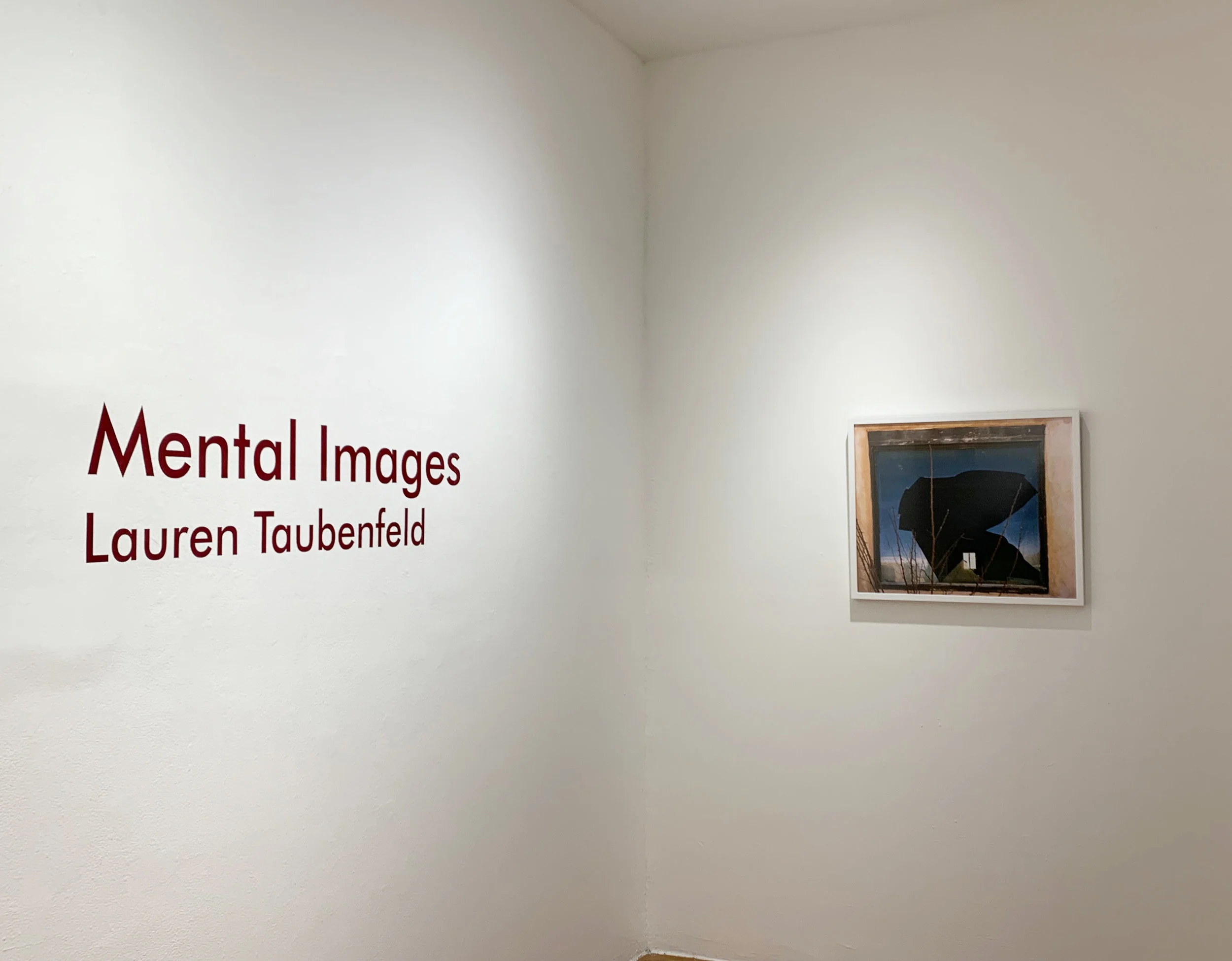 ©Lauren Taubenfeld