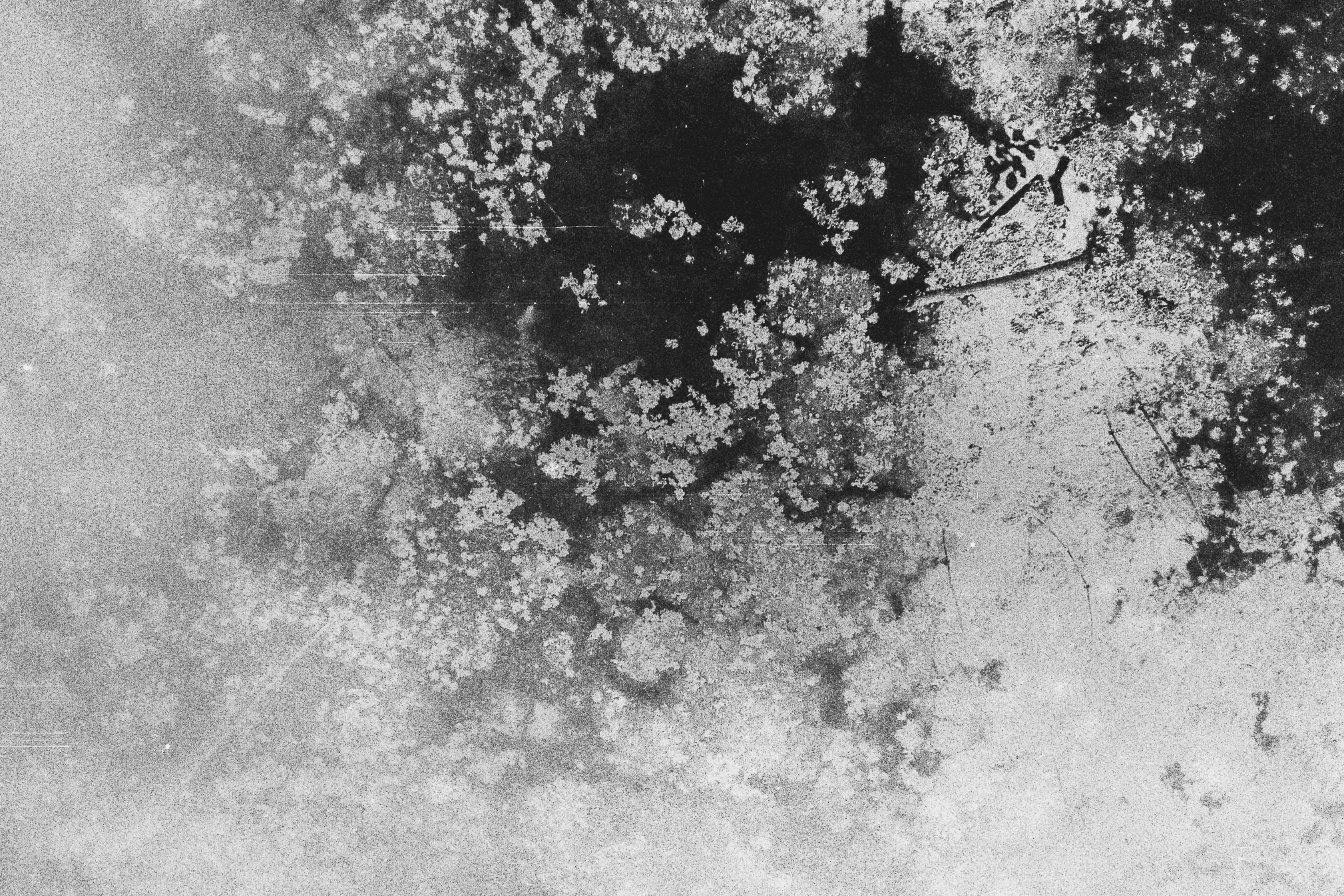 © Margaret Lanksink
