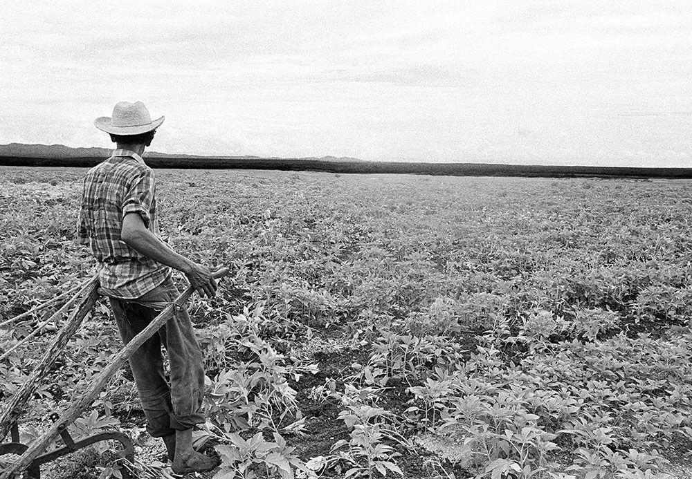 © Emily Matyas, “Gazing to Where Opposites Meet.” Sol y Tierra by Emily Matyas