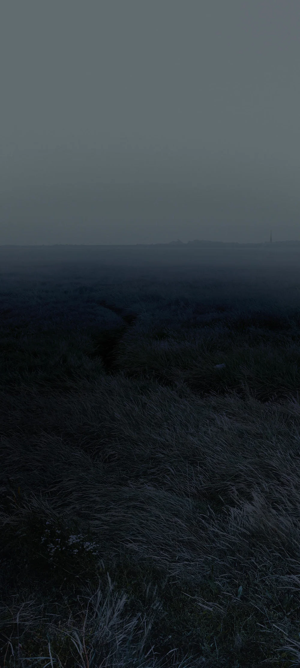 © Nadav Kander, courtesy of Flowers Gallery