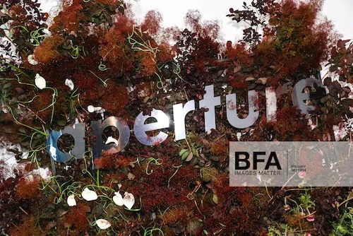 Aperture Foundation 2019 Muse Gala. Sansho Scott/BFA.com. ©BFA 2019