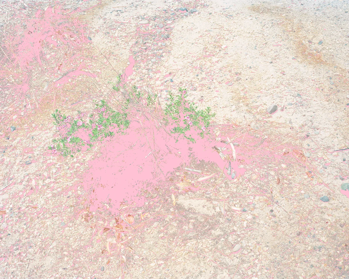 Shadow Pink From Aaron Rothman: Signal Noise , published by Radius Books © 2018. All images © Aaron Rothman.