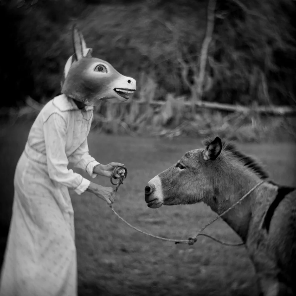 Recognition, Ossabaw Island, 2017 © Anne Berry