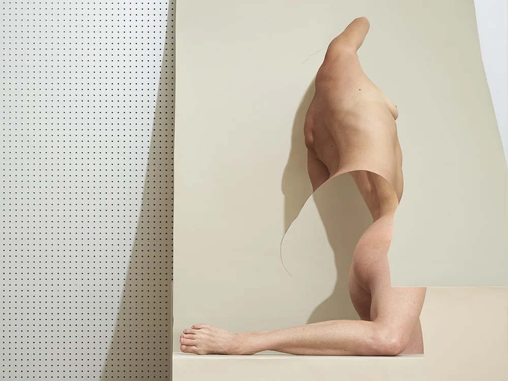 Figure, Suede Gray and Pegboard 2017 © Bill Durgin