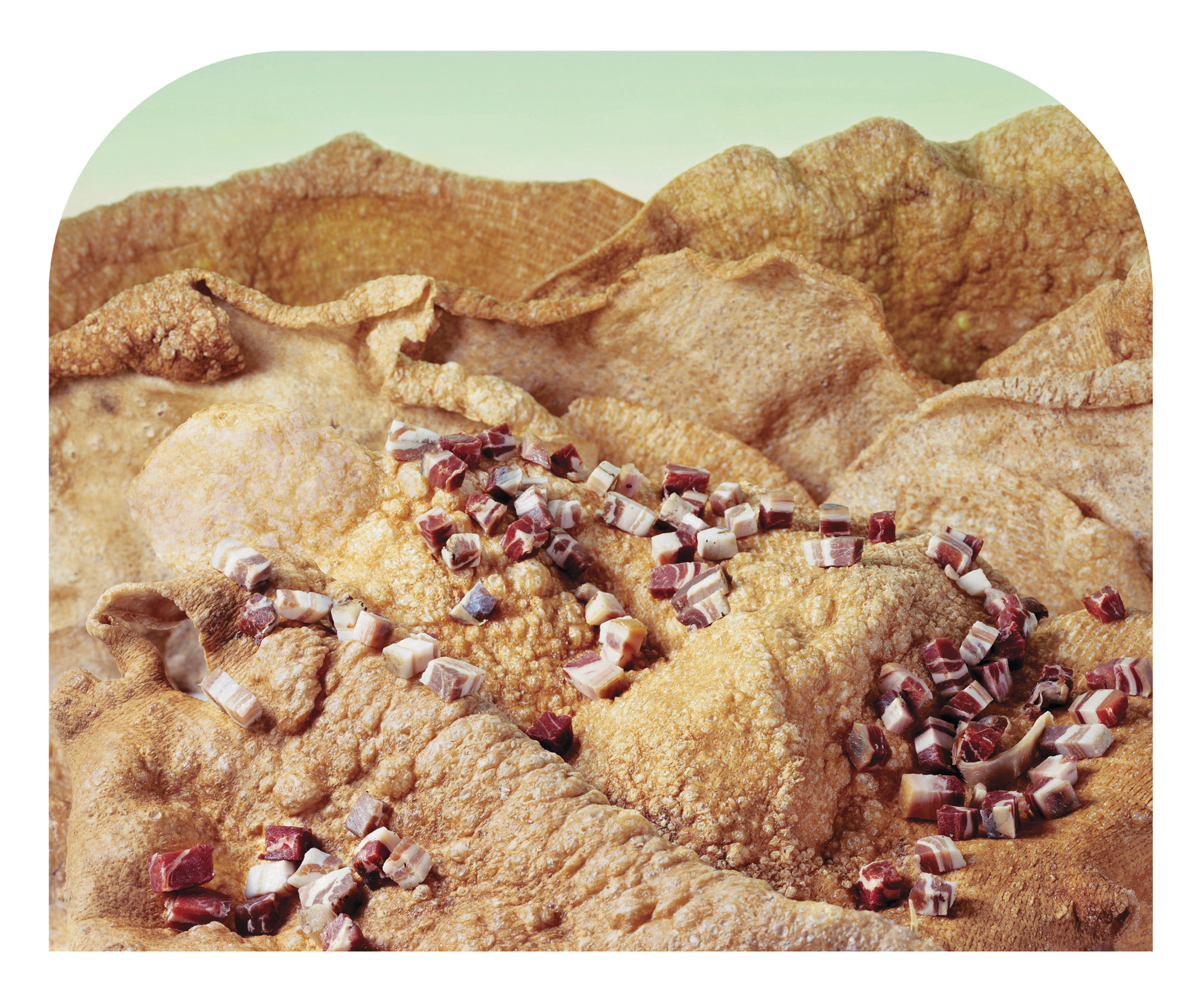 Saturated Fat Foothills © Barbara Ciurej & Lindsay Lochman