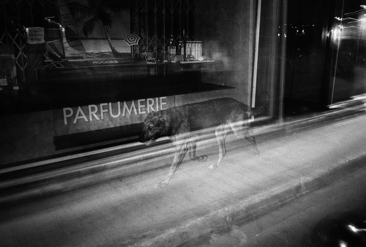 © Felicia Murray