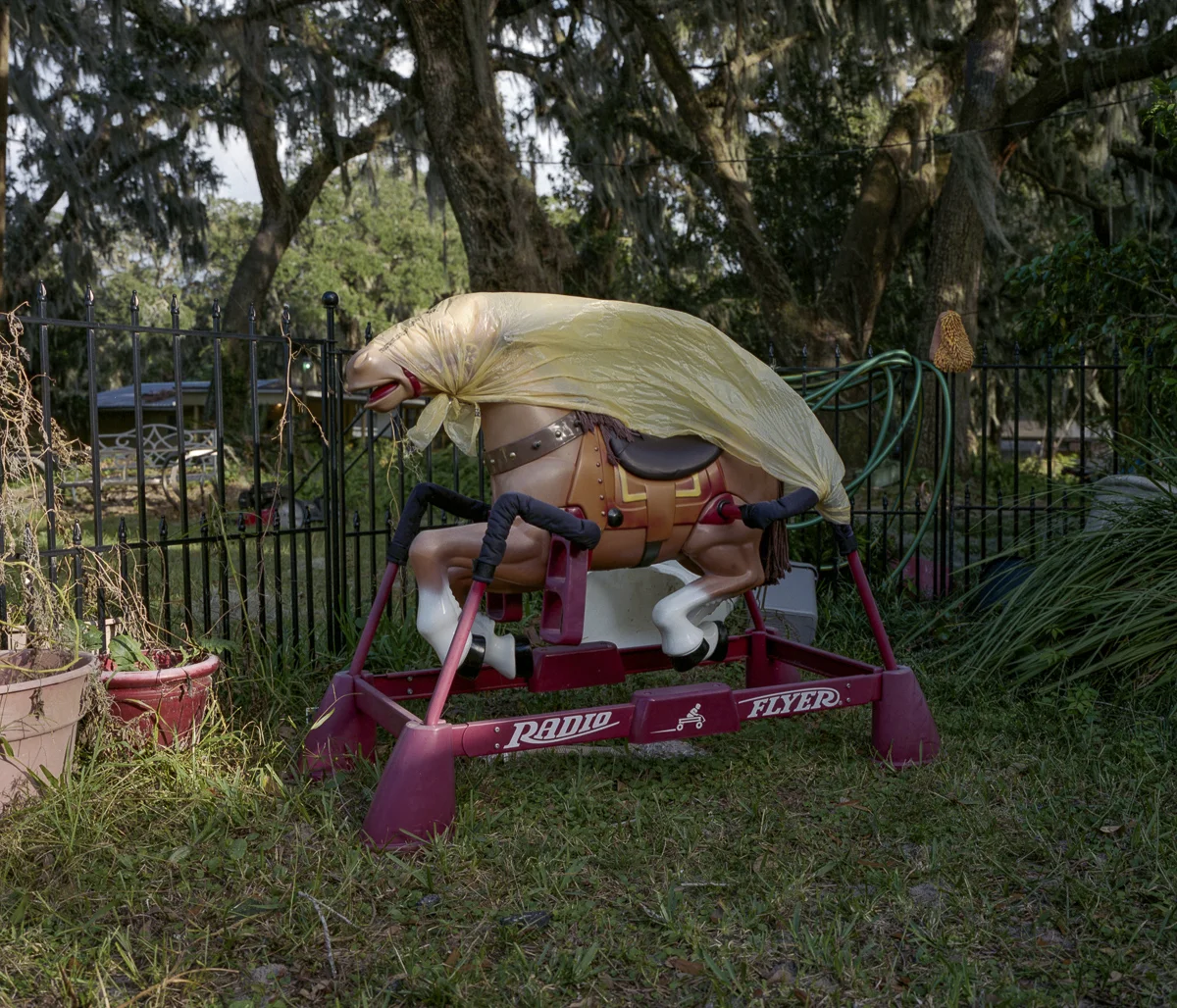 © Clay Maxwell Jordan