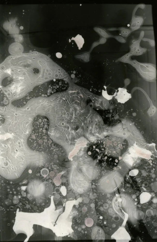 Chemigram #8, 2019 © Anna Jacobson