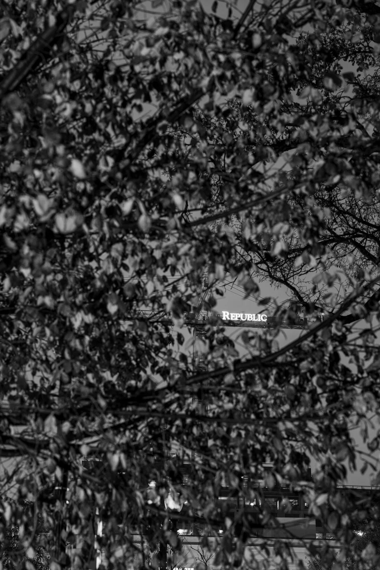 © Mike Osborne, Federal Triangle, 2019, Courtesy of Gnomic Book