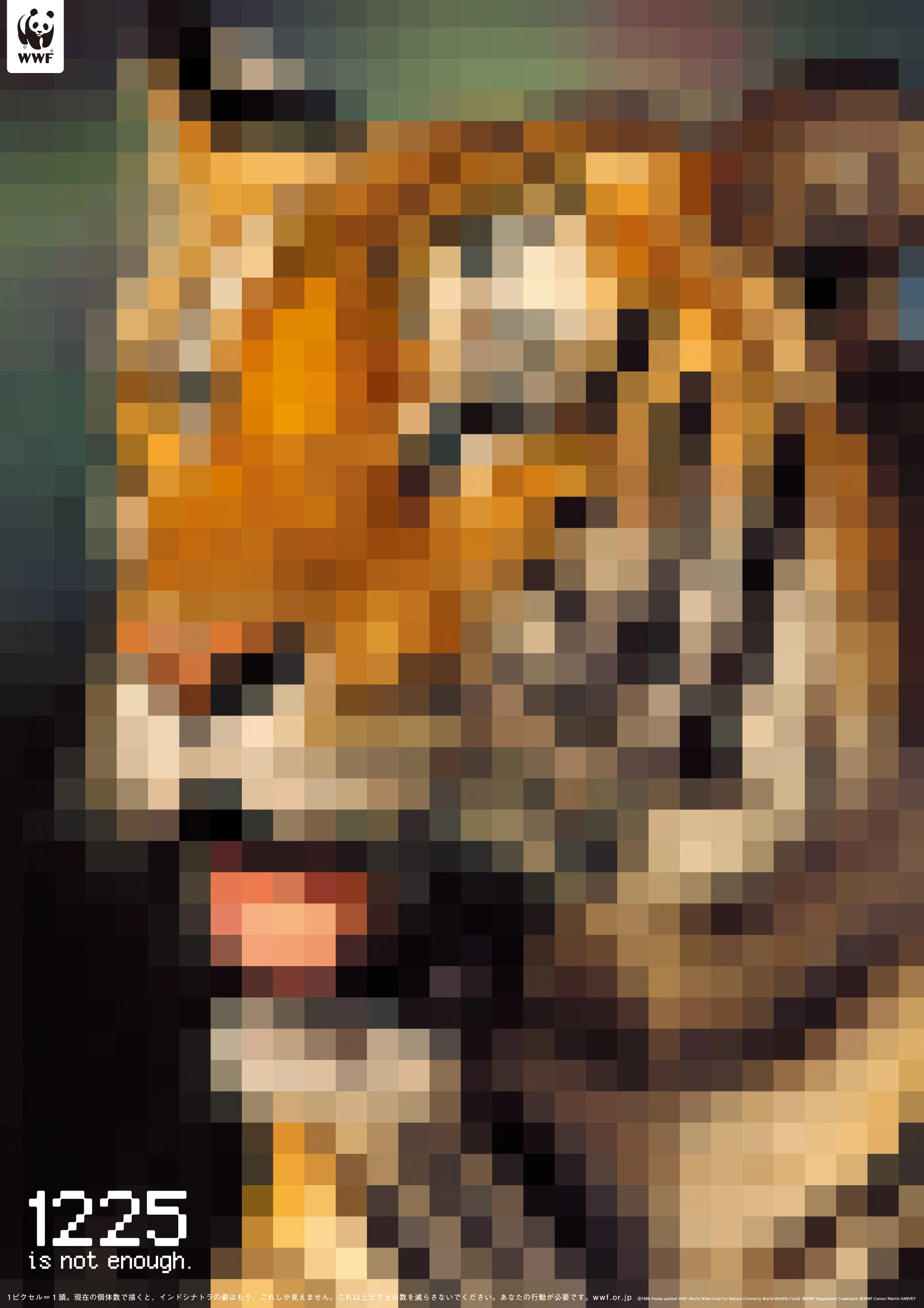 ‘Population by Pixel’, courtesy of Yoshiyuki Mikami ©