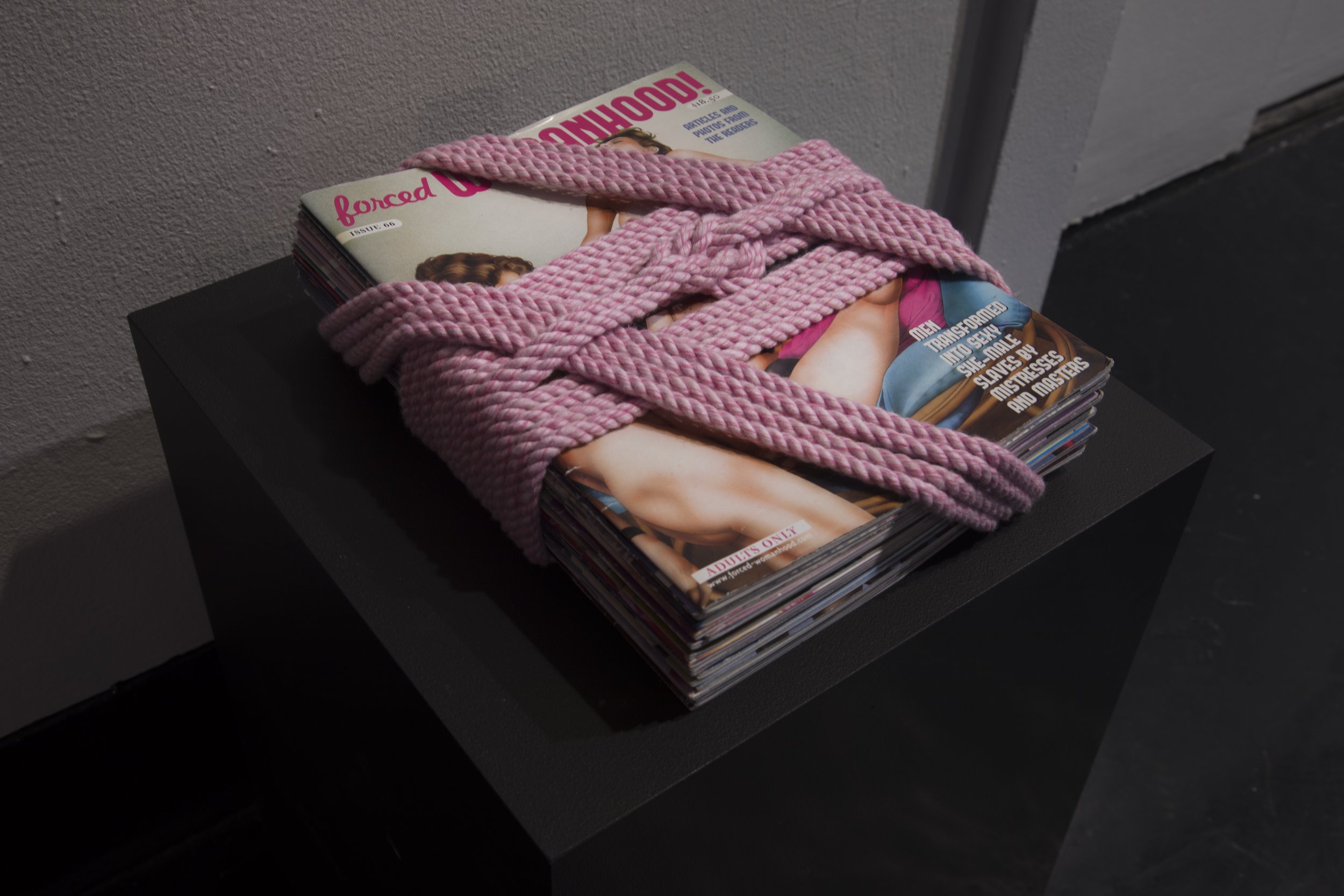 Sex, Feminism, and Porn Nights at the SVA — Musée Magazine photo