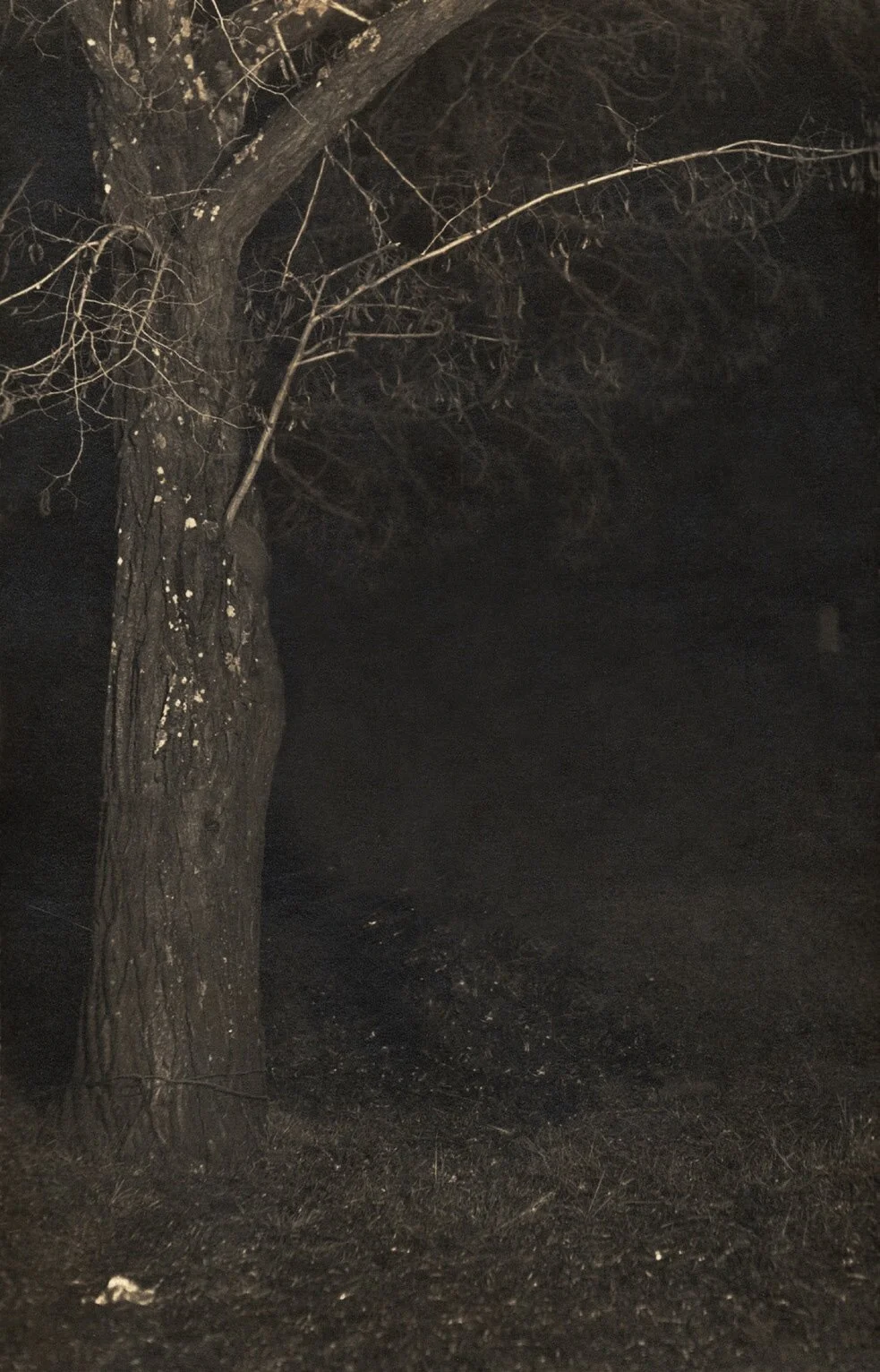 Ken Gonzales-Day, Franklin Avenue , Erased Lynching Series, 2004.