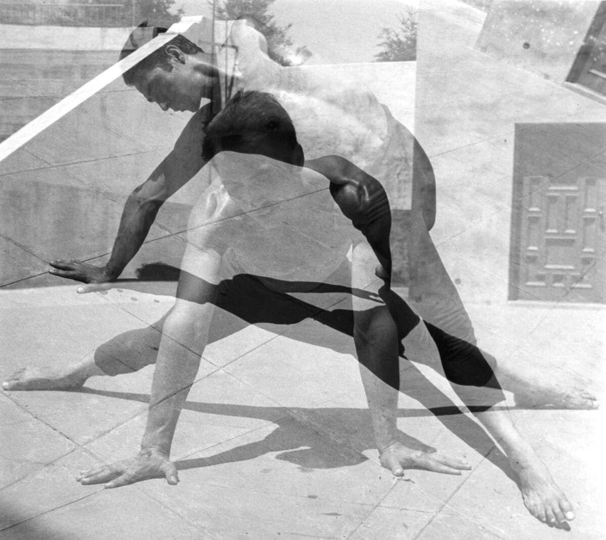 Imogen Cunningham Photography Gallery Imogen Cunningham Photography Gallery