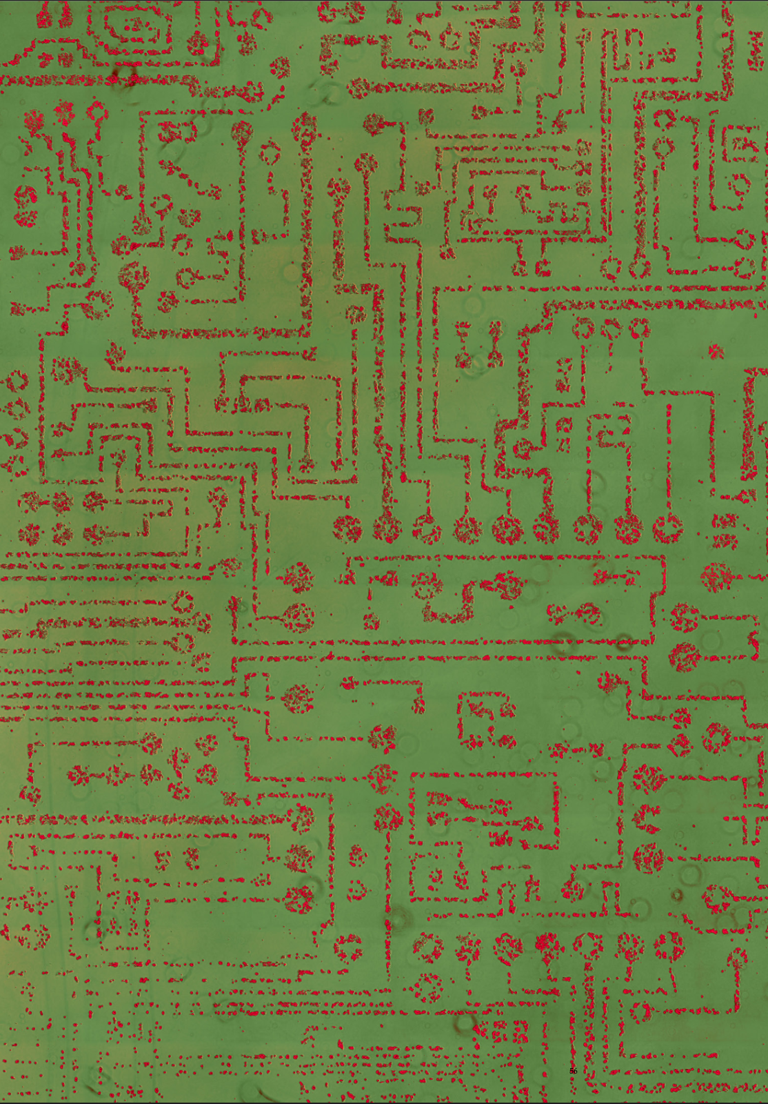  Vik Muiz,  Motherboard, Colonies,  2014. 