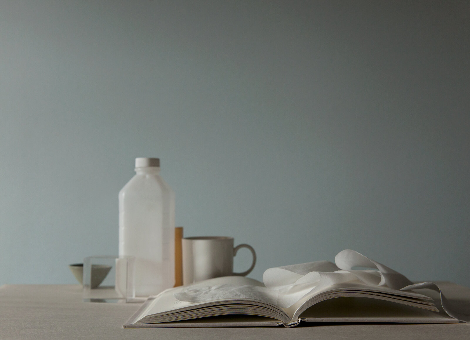 Still Life: The Still World of Mary Ellen Bartley — Musée Magazine