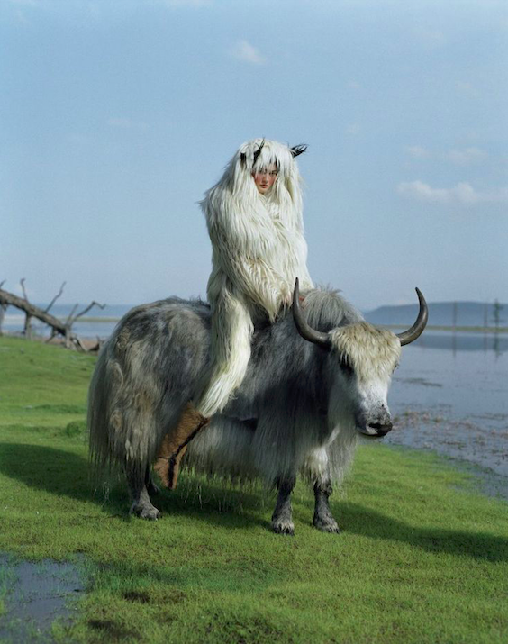  'Kirsi Pyrhonen on wild yak'&nbsp; 2011 © Tim Walker 