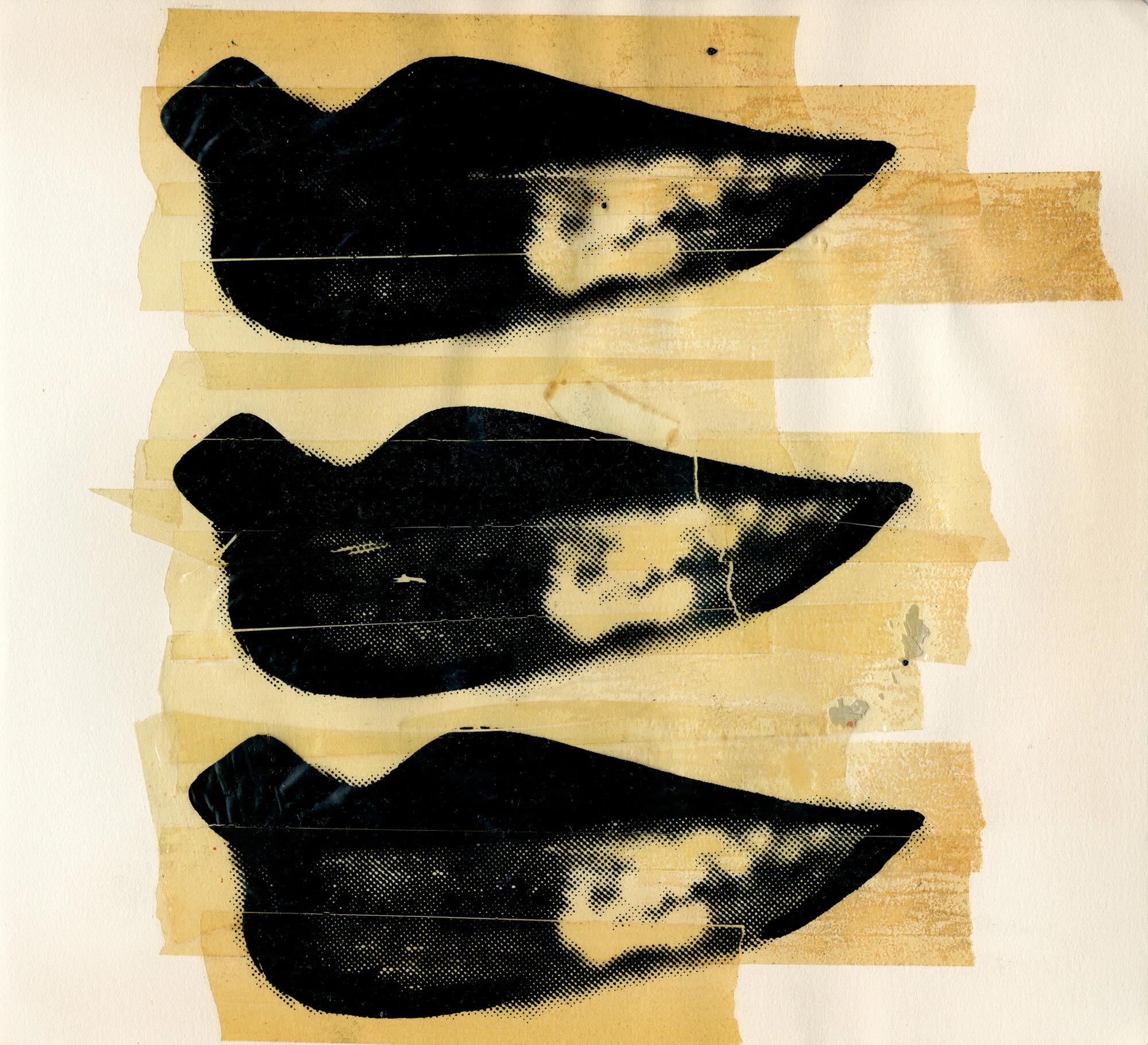 Картина 1963 года катастрофа с тунцом