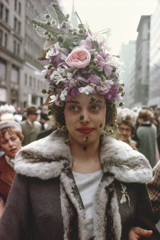 limited500 Wild Flowers Joel Meyerowitz アート・デザイン・音楽 