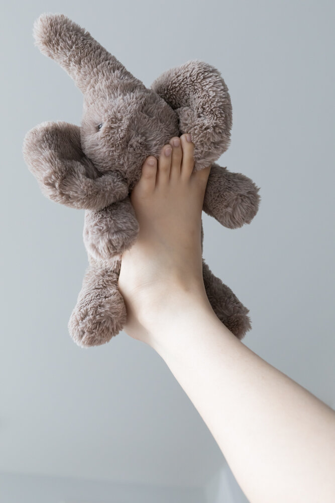 Baby Elephant on Katy's Feet.jpg