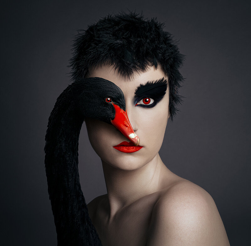 Black Swan © Flora Borsi