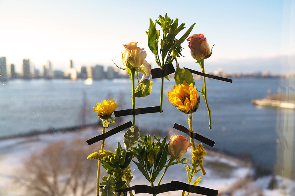 Flowers and window.jpg