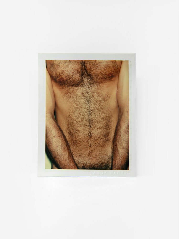 Bbs Nudist Tumblr - Pride Month: Andy Warhol â€” MusÃ©e Magazine
