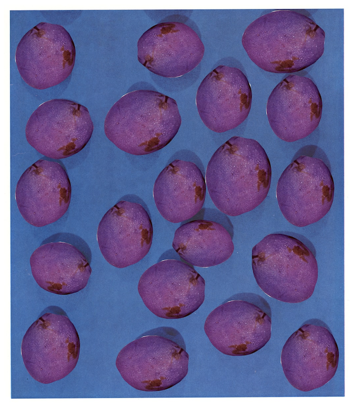 Ruth Van Beek, EVERBEARING VARIETIES, 2020. Fine art inkjet-print 88 x 100 cm / image: 80 x 92 cm  Edition of 8 plus 1 artist's proof. Courtesy of The Ravestijn Gallery