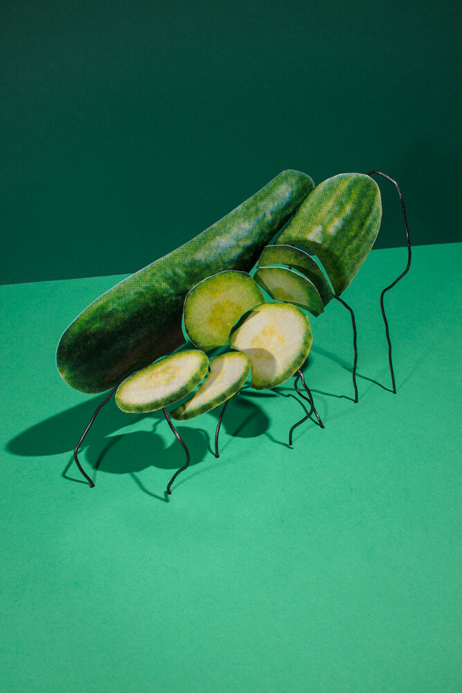   Seedless Cucumbers Imported Fresh 2 for $4,  2017 © Gabriel Zimmer 