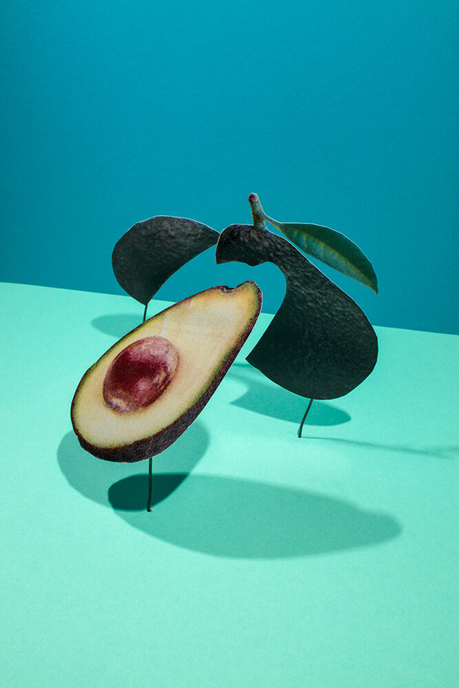   Certified Organic Hass Avocados 2 for $3,  2017 © Gabriel Zimmer 