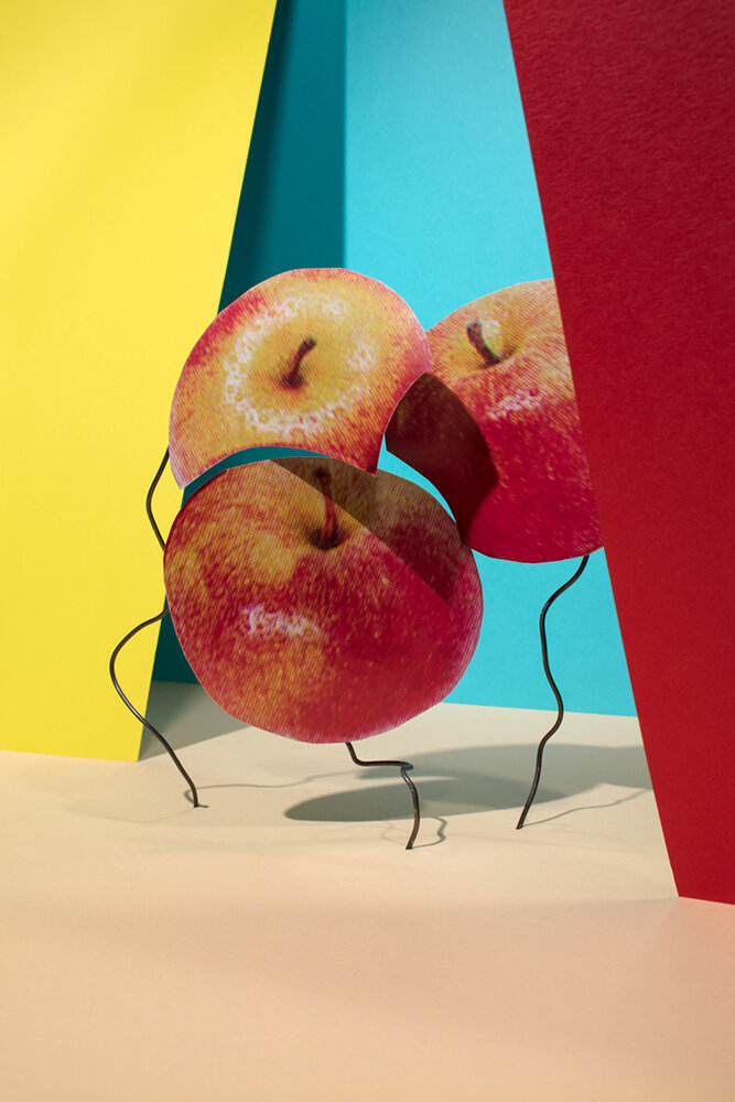   Macintosh Apples 99¢ per lb , 2018 © Gabriel Zimmer 
