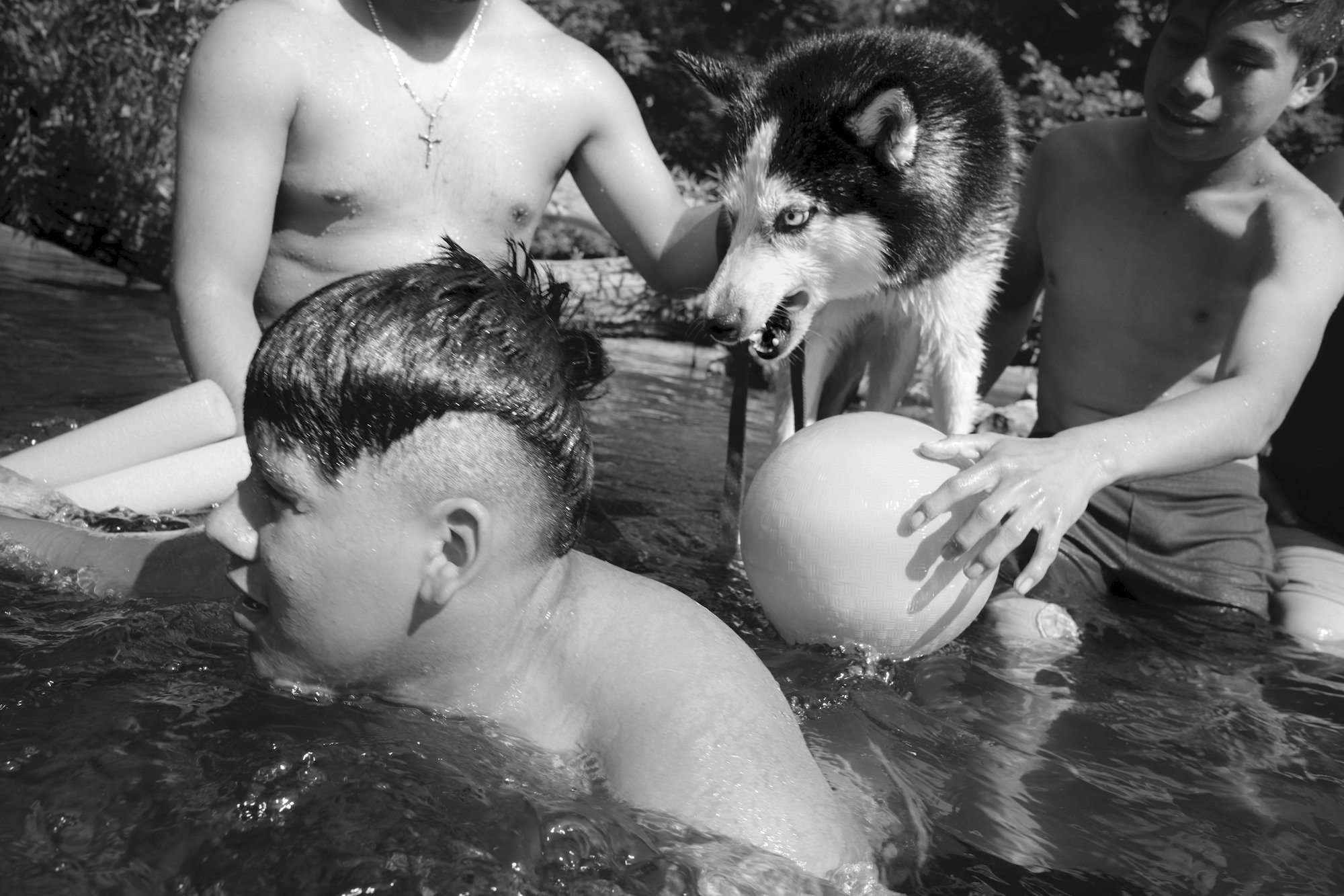 2018 Boys with Dog and Ball Watering Hole Down by the Hudson Caleb Stein.jpg