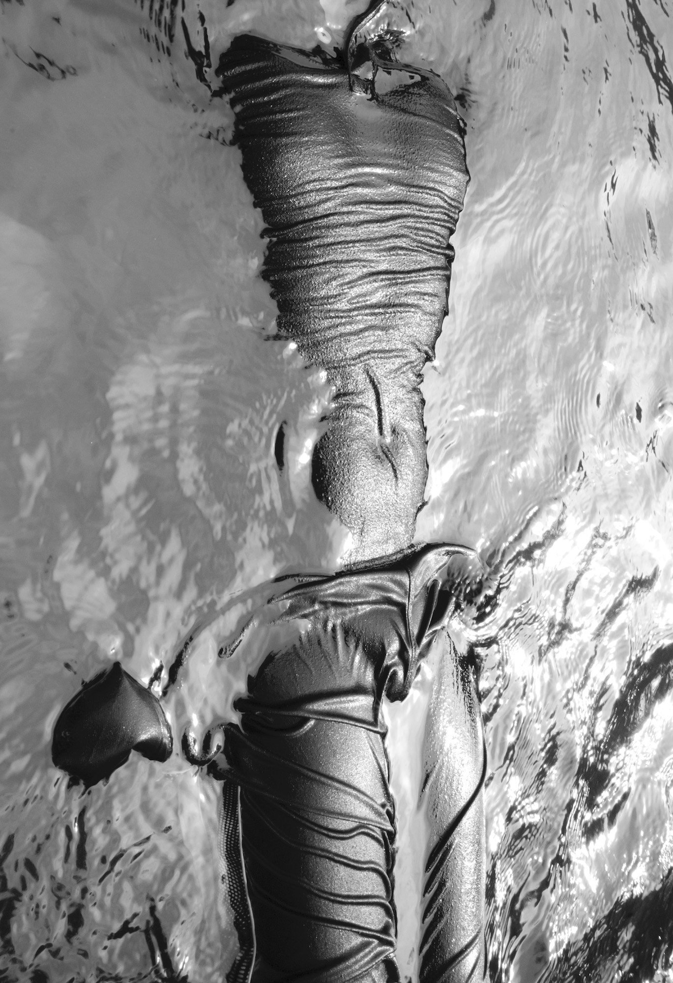 2020 Torso & Legs Watering Hole Down by the Hudson Caleb Stein.jpg