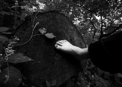 Weekend Portfolio: Cora Rafe - To Know a Place; To Know a Body — Musée ...