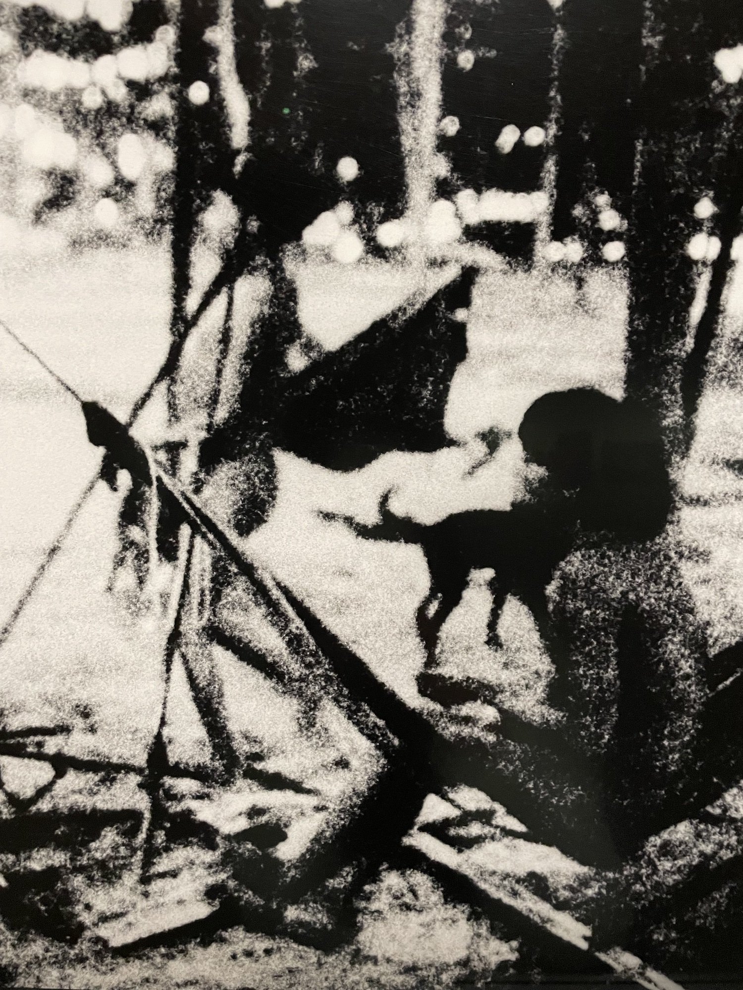 Yanomami Struggle (20).jpg