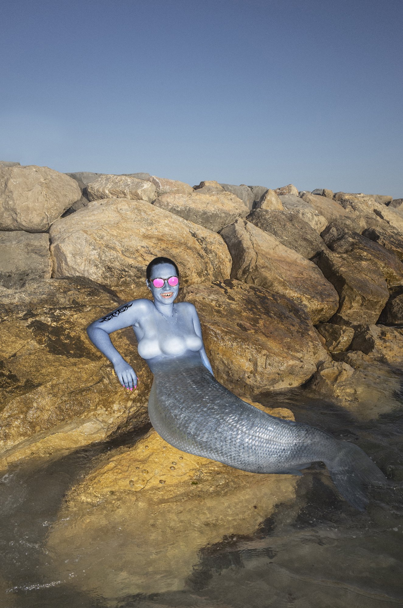 Lopvet_creatures_The_Mermaid.jpg