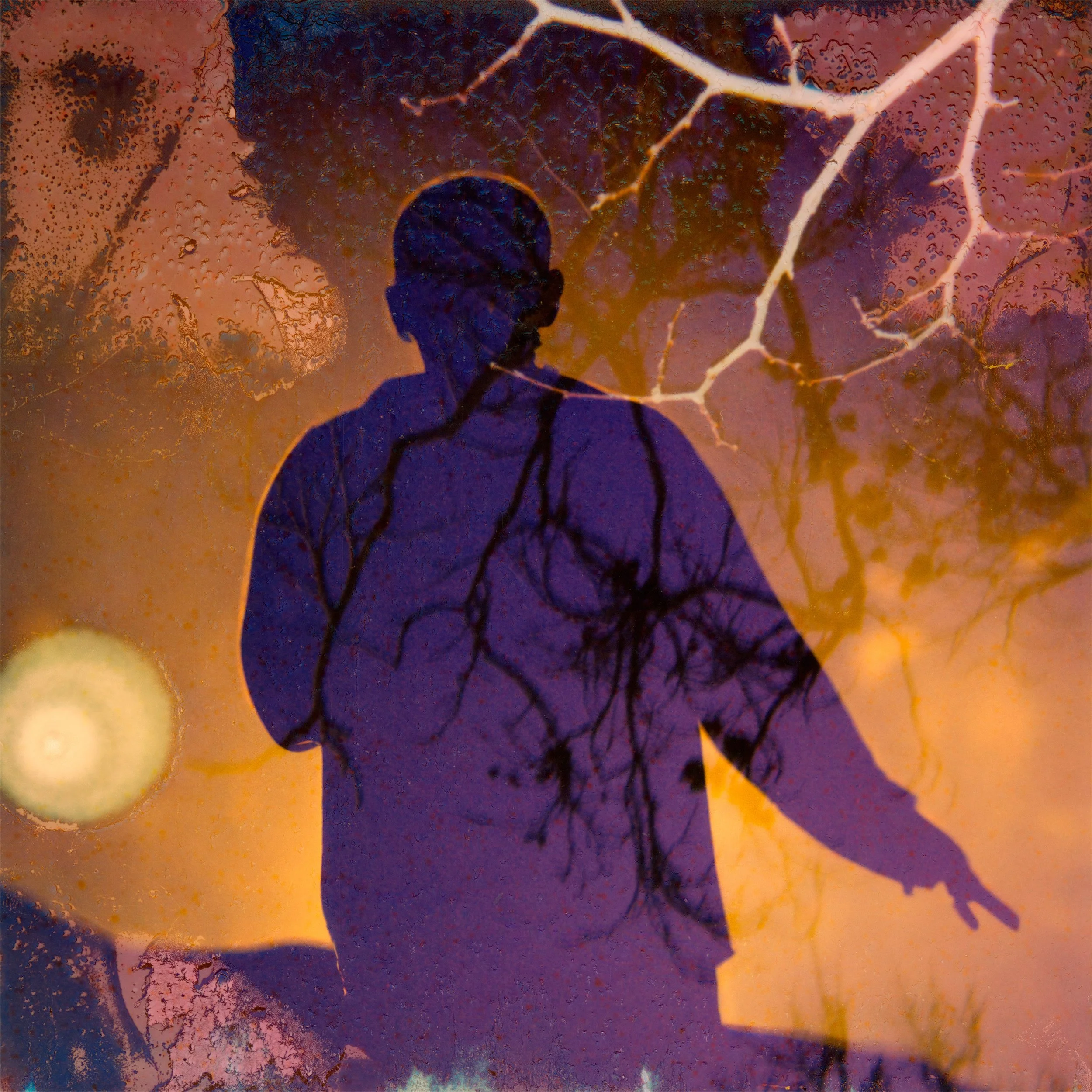 If Memory Serves: Photography Recollections and Vision Musée Magazine