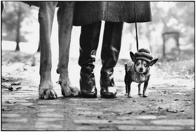 Elliott Erwitt: Through the Playful Eyes of Elliott Erwitt
