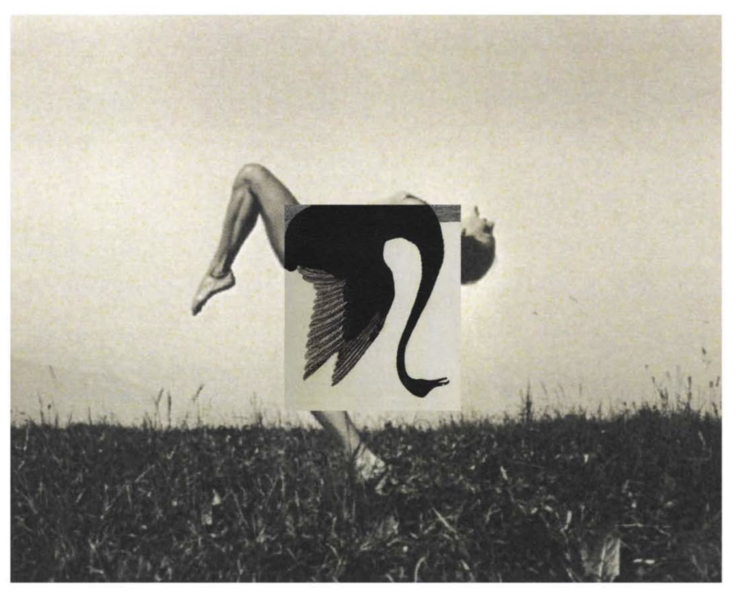 Barbara Crane | Centre Pompidou — Musée Magazine