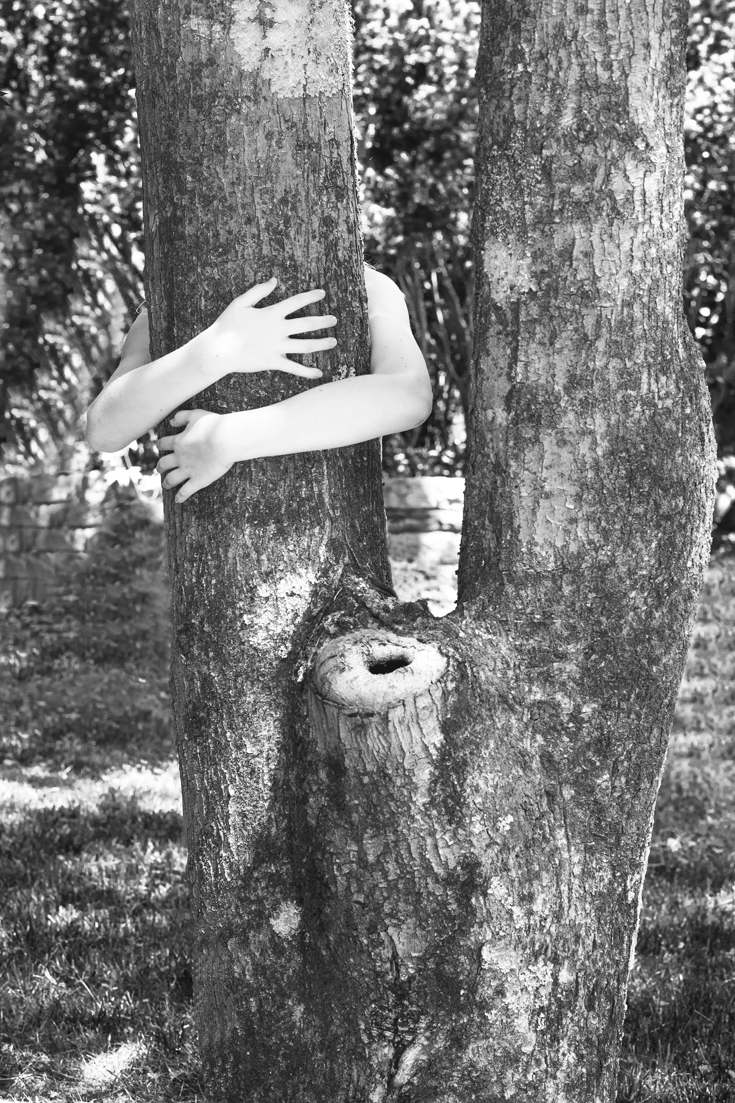 Daughter of the Trees