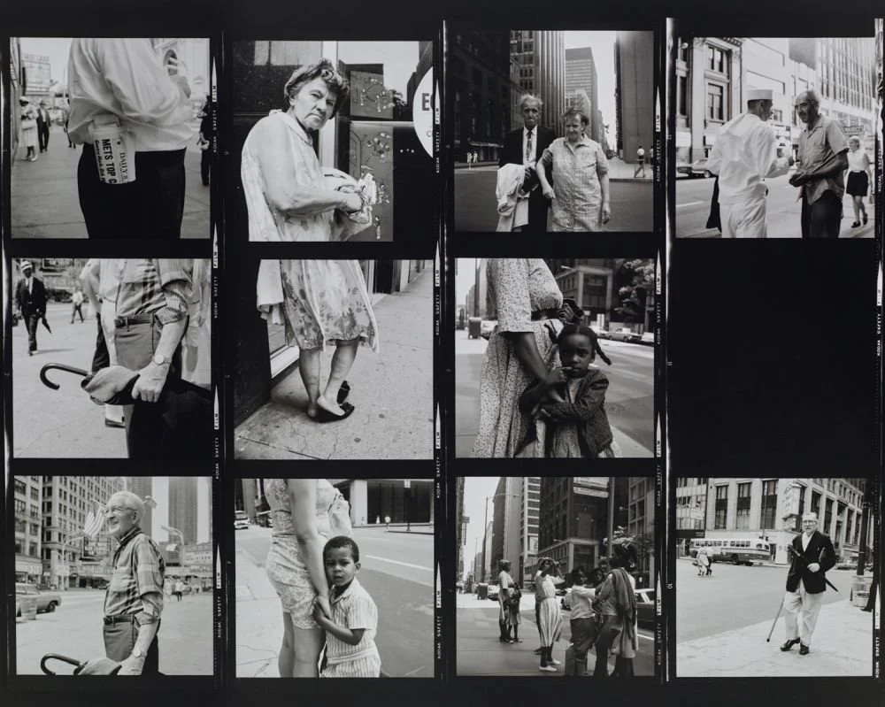 Vanishing Point: The Art of Polyglots