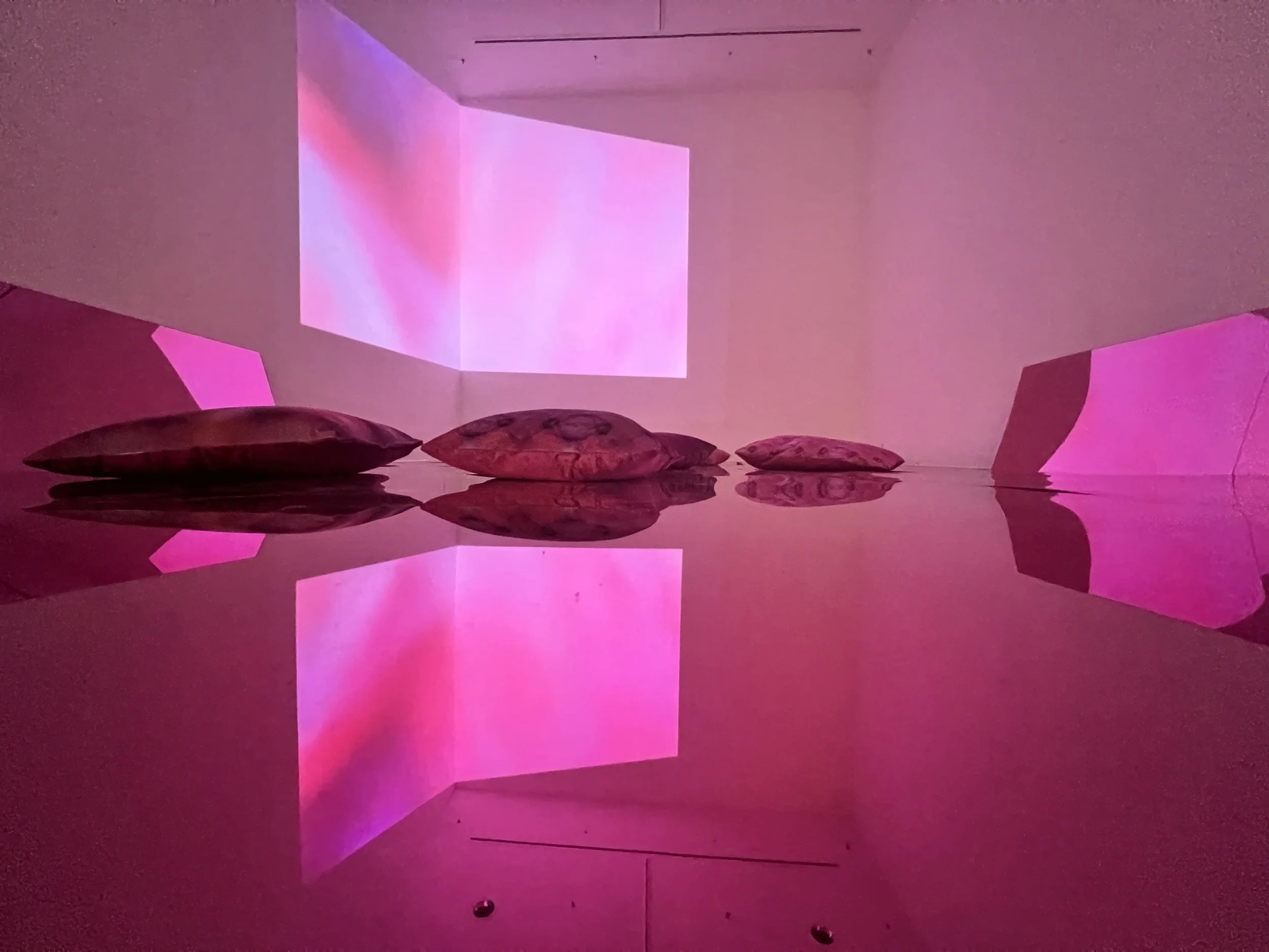 Christen Clifford | Interiors: We Are All Pink Inside — Musée Magazine