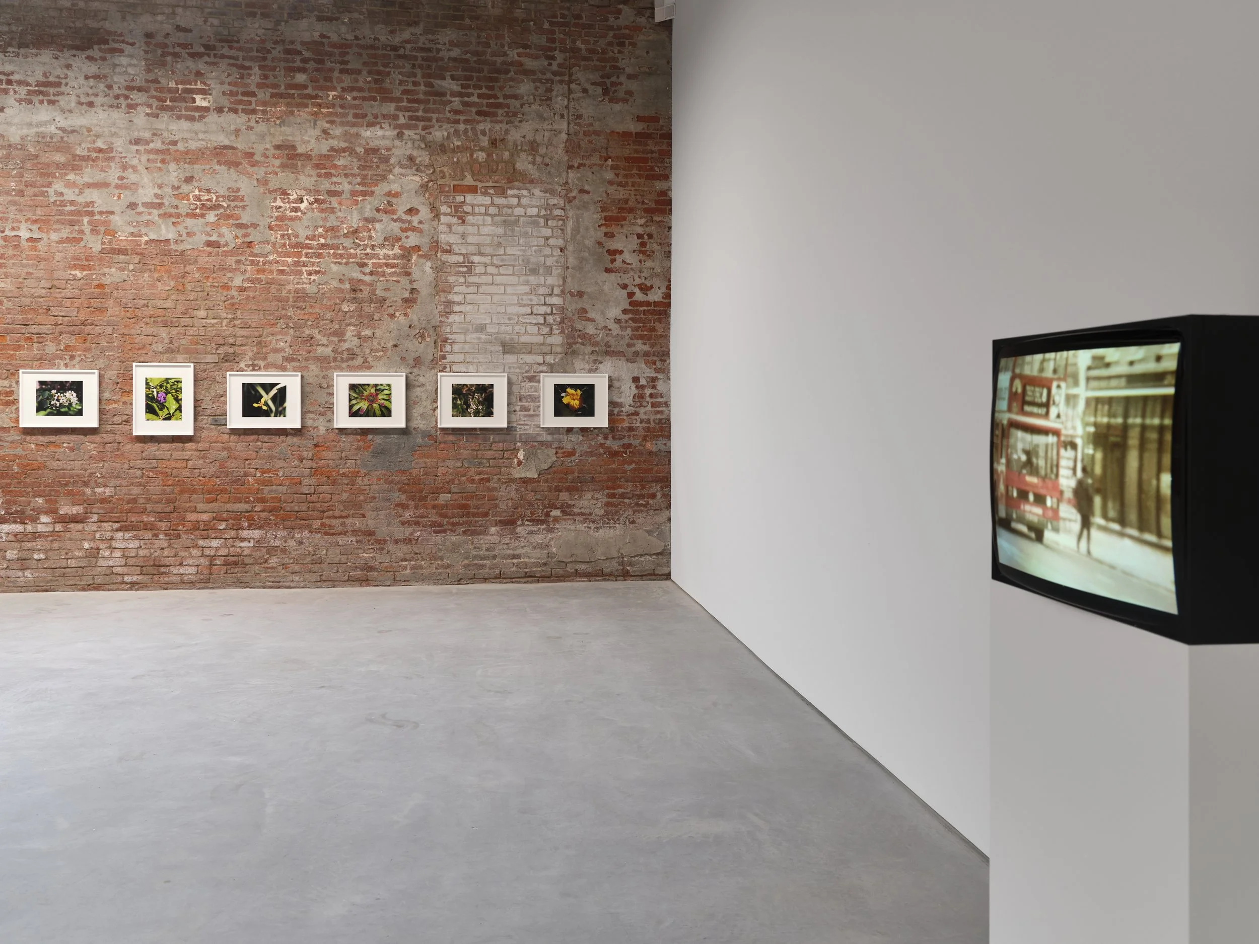Steve McQueen: Cinematic Memory and Colonial Landscapes at Dia Chelsea ...