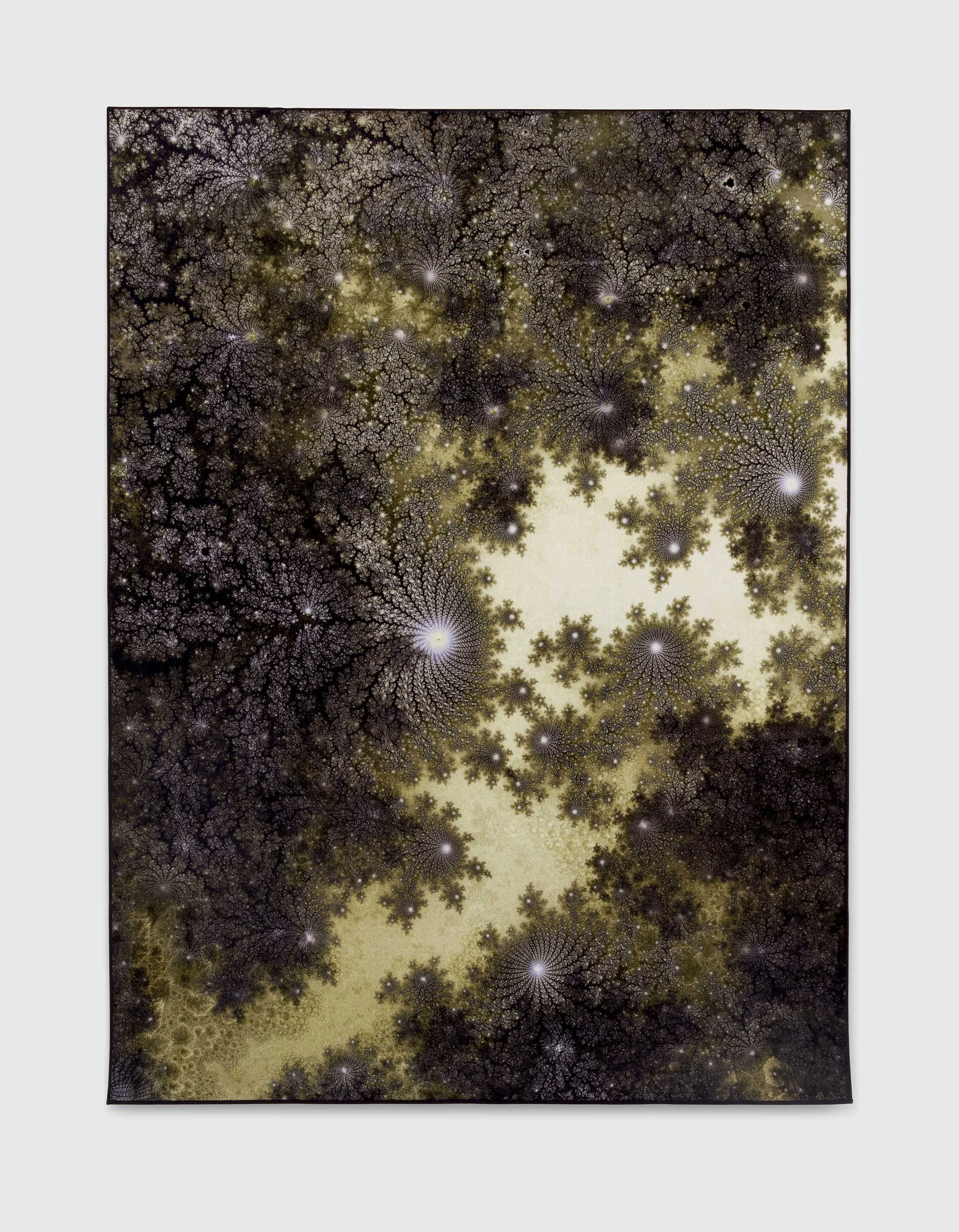 Exhibition Review: Thomas Ruff: d.o.pe. — Musée Magazine