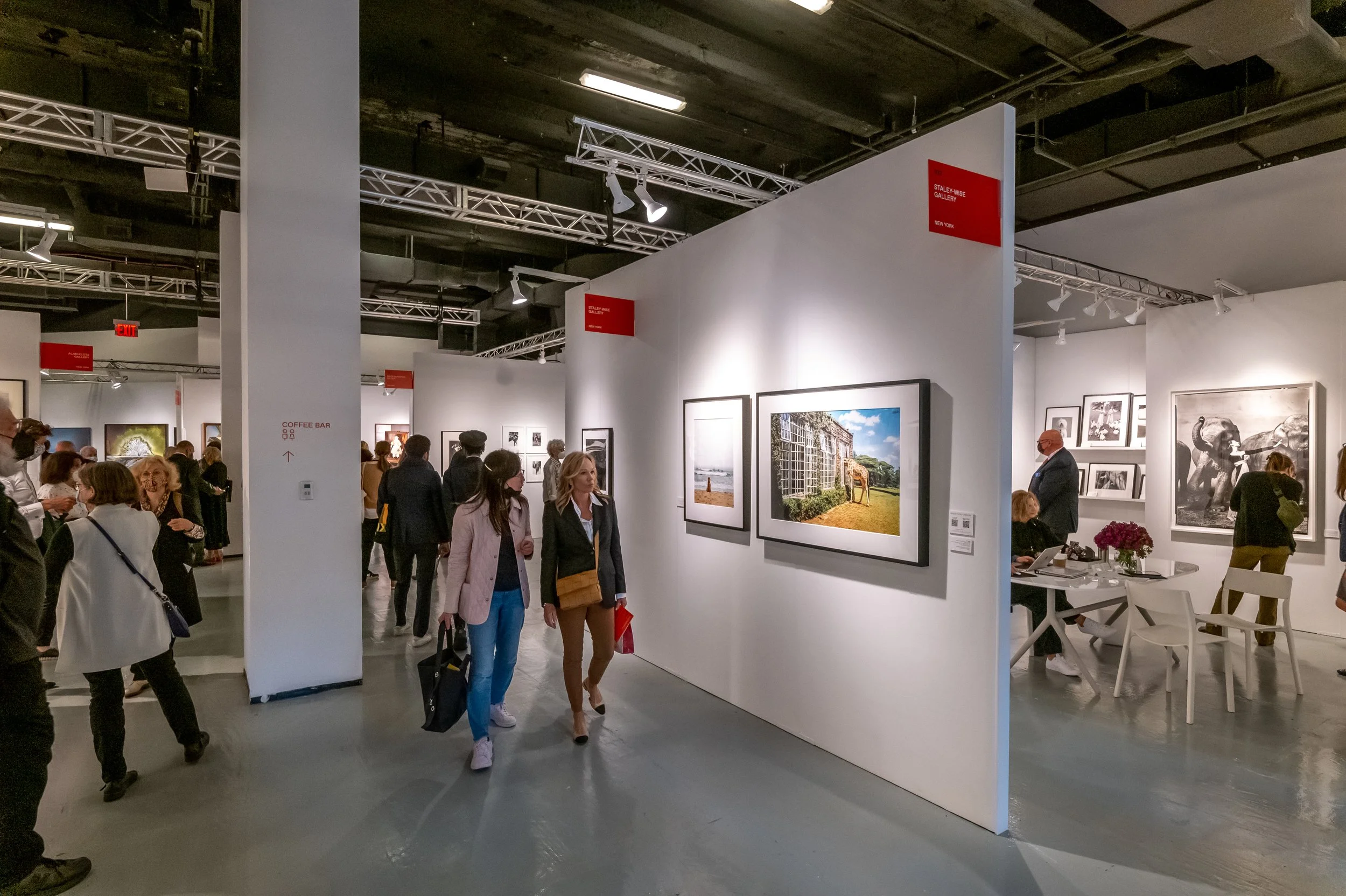 AIPAD's 2025 Photography Show — Musée Magazine