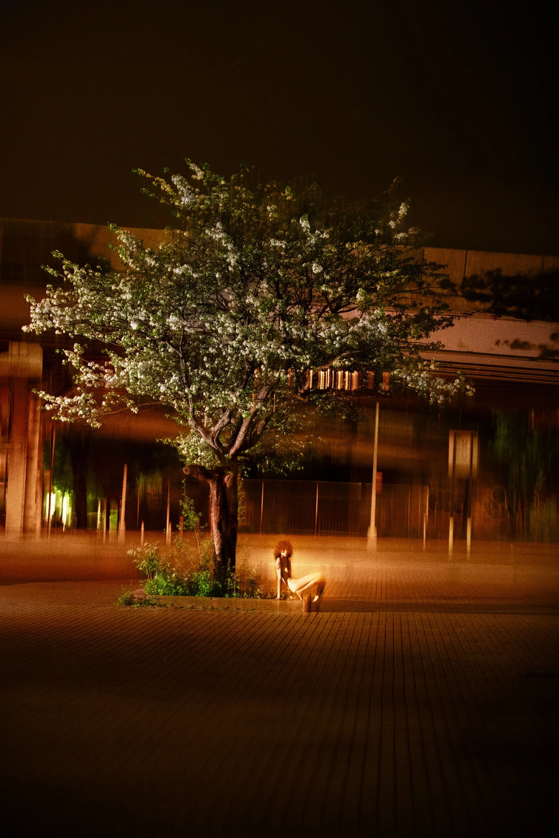 Ryan McGinley: Night Shift | Jeffery Deitch — Musée Magazine